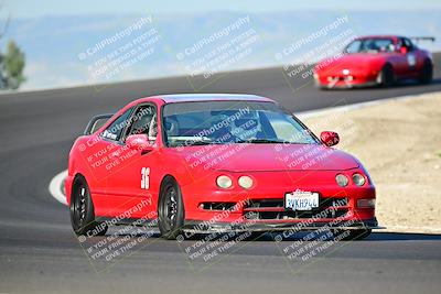 media/Mar-01-2025-Turn8 Trackdays (Sat) [[3bac13d0ad]]/Inter 3/Session 1 (Turns 2 and 3)/
